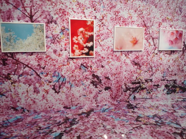 虚構と現実の間に ―SAKURA―(まるじろ まるじろ あるまじろ)
