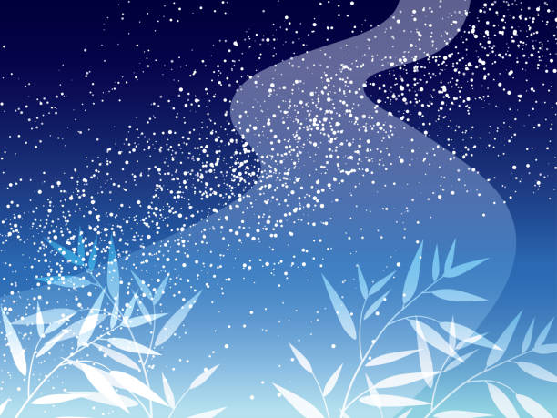 今日は事件が在りました!(イラストおばさん!)