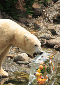 ���w�������L��