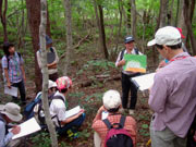 �ł̃q�������