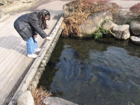 �A���t�H�[�E�`���h�����i�����N�I���W�̒���j