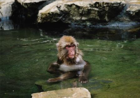 �A���t�H�[�E�`���h�����i�����N�I���W�̒���j