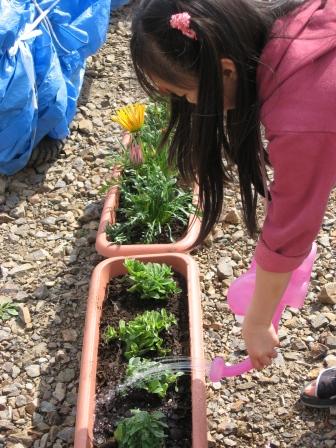 �A���t�H�[�E�`���h�����i�����N�I���W�̒���j