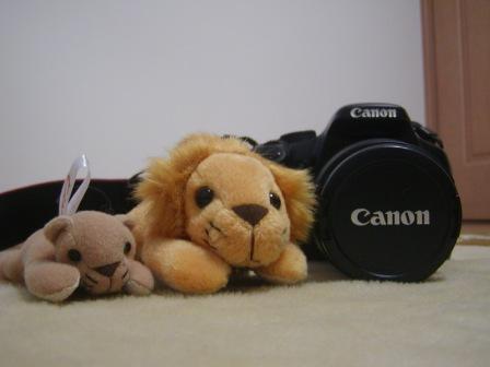 �A���t�H�[�E�`���h�����i�����N�I���W�̒���j