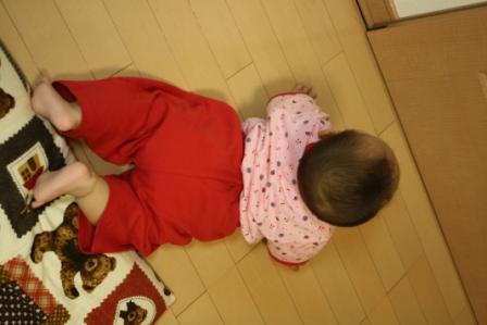 �A���t�H�[�E�`���h�����i�����N�I���W�̒���j