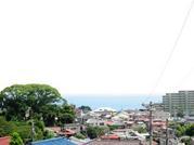 �A���t�H�[�E�`���h�����i�����N�I���W�̒���j