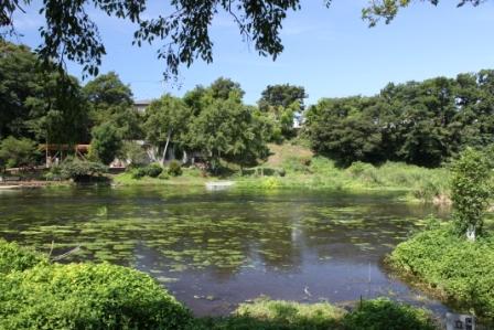 �A���t�H�[�E�`���h�����i�����N�I���W�̒���j