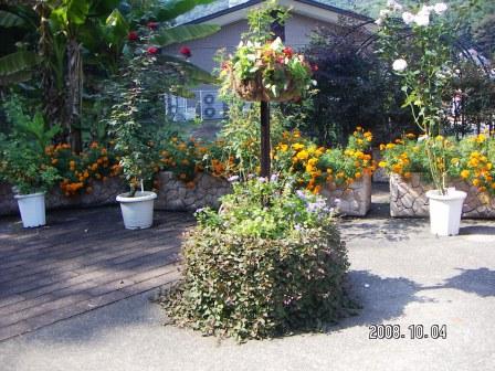 �A���t�H�[�E�`���h�����i�����N�I���W�̒���j