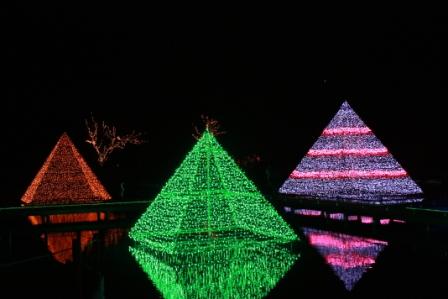 �A���t�H�[�E�`���h�����i�����N�I���W�̒���j