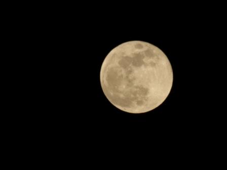 �A���t�H�[�E�`���h�����i�����N�I���W�̒���j