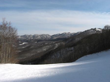 �A���t�H�[�E�`���h�����i�����N�I���W�̒���j