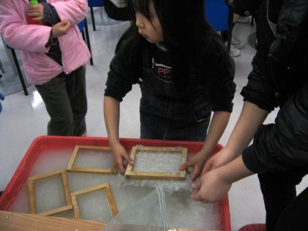 �A���t�H�[�E�`���h�����i�����N�I���W�̒���j