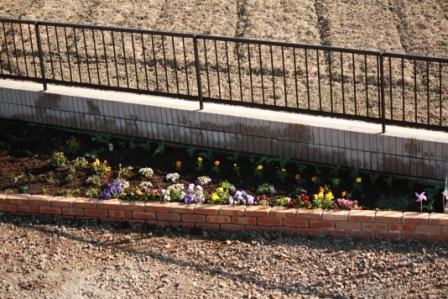 �A���t�H�[�E�`���h�����i�����N�I���W�̒���j