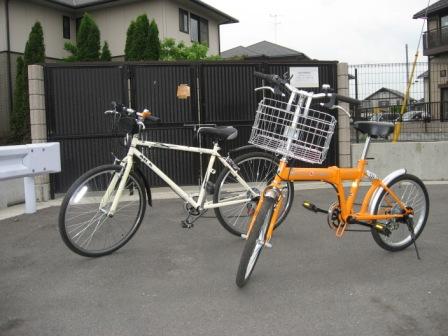 �A���t�H�[�E�`���h�����i�����N�I���W�̒���j