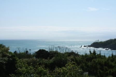 �A���t�H�[�E�`���h�����i�����N�I���W�̒���j