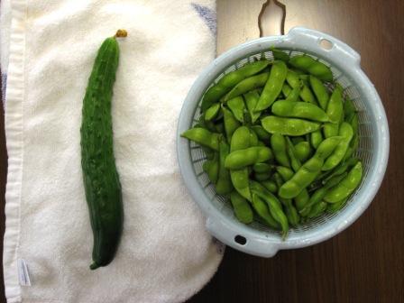 �A���t�H�[�E�`���h�����i�����N�I���W�̒���j