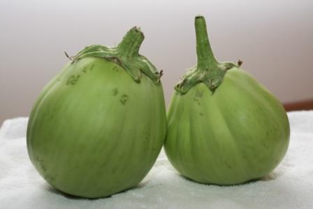 �A���t�H�[�E�`���h�����i�����N�I���W�̒���j