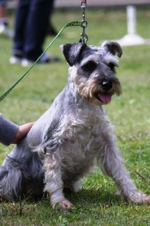 �A���t�H�[�E�`���h�����i�����N�I���W�̒���j