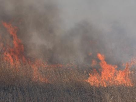 �A���t�H�[�E�`���h�����i�����N�I���W�̒���j