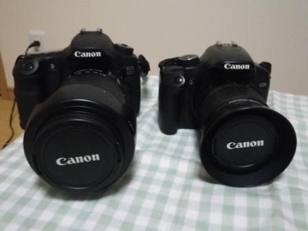 �A���t�H�[�E�`���h�����i�����N�I���W�̒���j