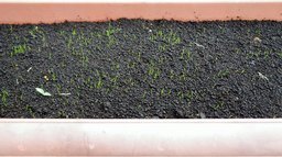 �A���t�H�[�E�`���h�����i�����N�I���W�̒���j