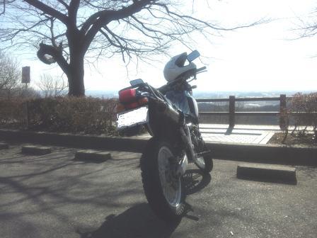 �A���t�H�[�E�`���h�����i�����N�I���W�̒���j