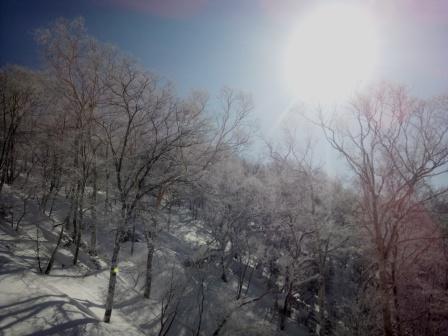 �A���t�H�[�E�`���h�����i�����N�I���W�̒���j