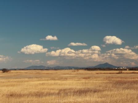 �A���t�H�[�E�`���h�����i�����N�I���W�̒���j