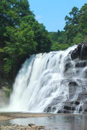 �A���t�H�[�E�`���h�����i�����N�I���W�̒���j