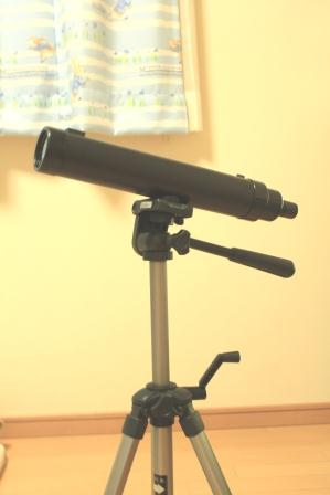 �A���t�H�[�E�`���h�����i�����N�I���W�̒���j