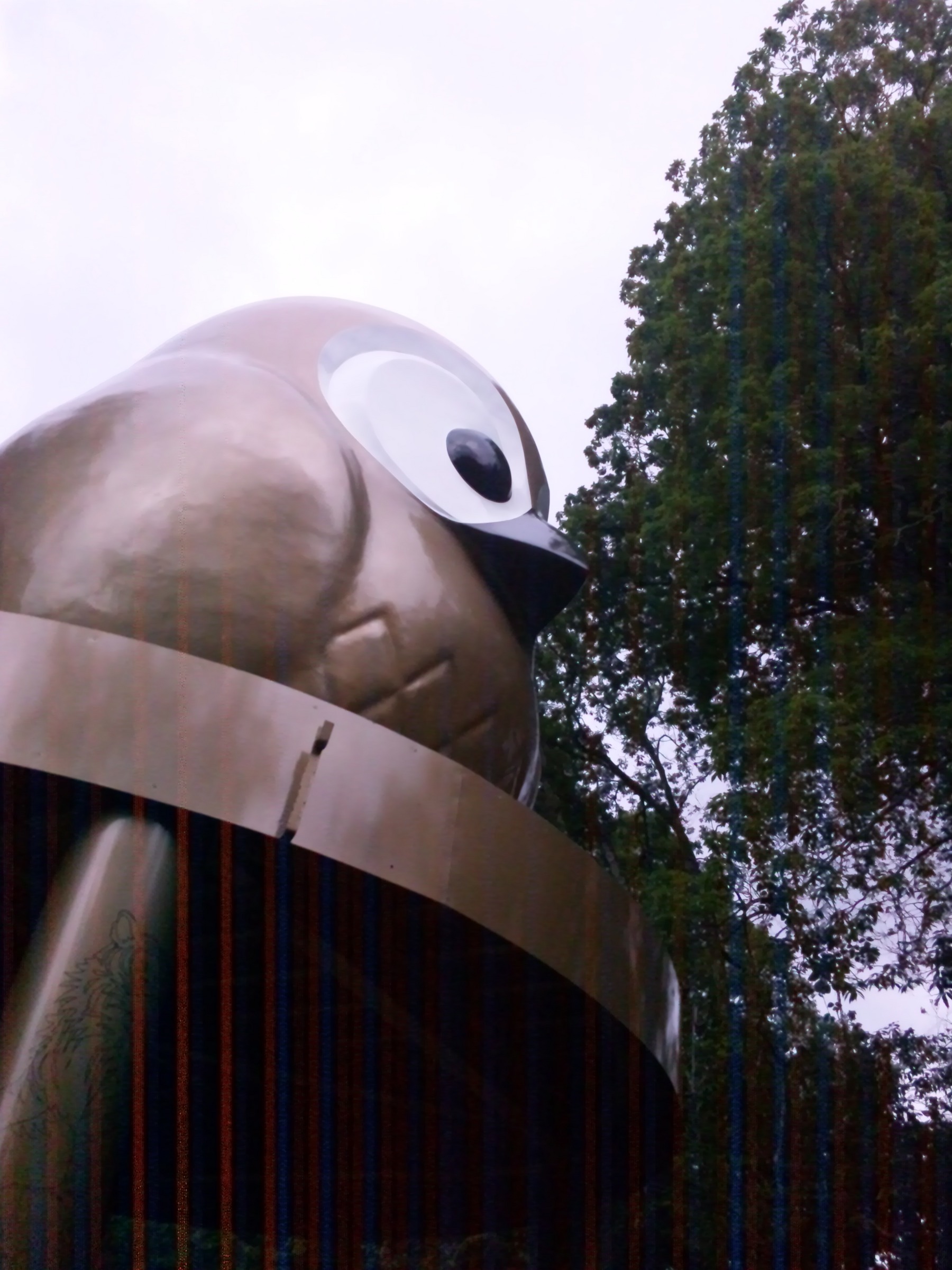 �W�O�u���C���������