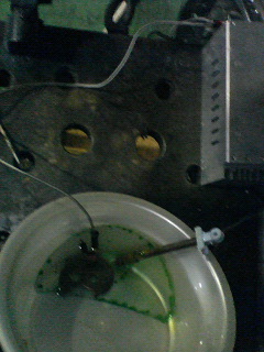 �W�O�����ƂT�O����������