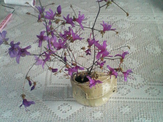 �W�O�����ƂT�O����������