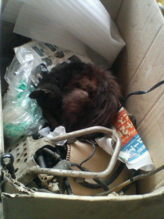 �W�O�����ƂT�O����������