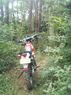 �W�O�����ƂT�O����������