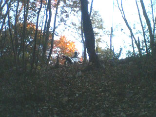 �W�O�����ƂT�O����������