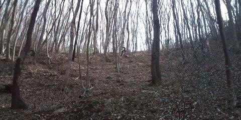 �W�O�����ƂT�O����������