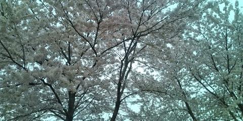 �W�O�����ƂT�O����������