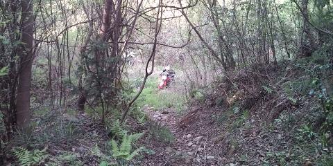 �W�O�����ƂT�O����������