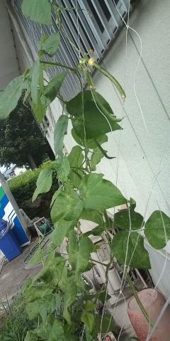 �W�O�����ƂT�O����������