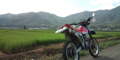 �W�O�����ƂT�O����������