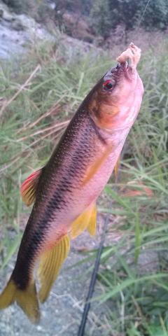 �W�O�����ƂT�O����������