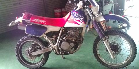 �W�O�����ƂT�O����������