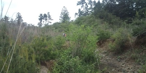 �W�O�����ƂT�O����������