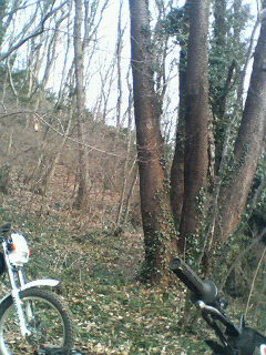 �W�O�����ƂT�O����������