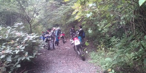 �W�O�����ƂT�O����������