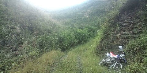 �W�O�����ƂT�O����������