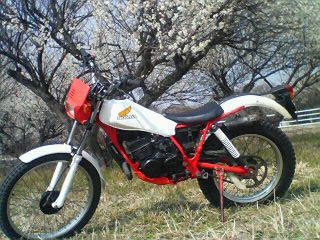 �W�O�����ƂT�O����������