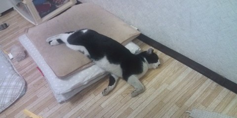 �W�O�����ƂT�O����������