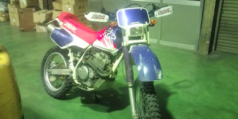 �W�O�����ƂT�O����������